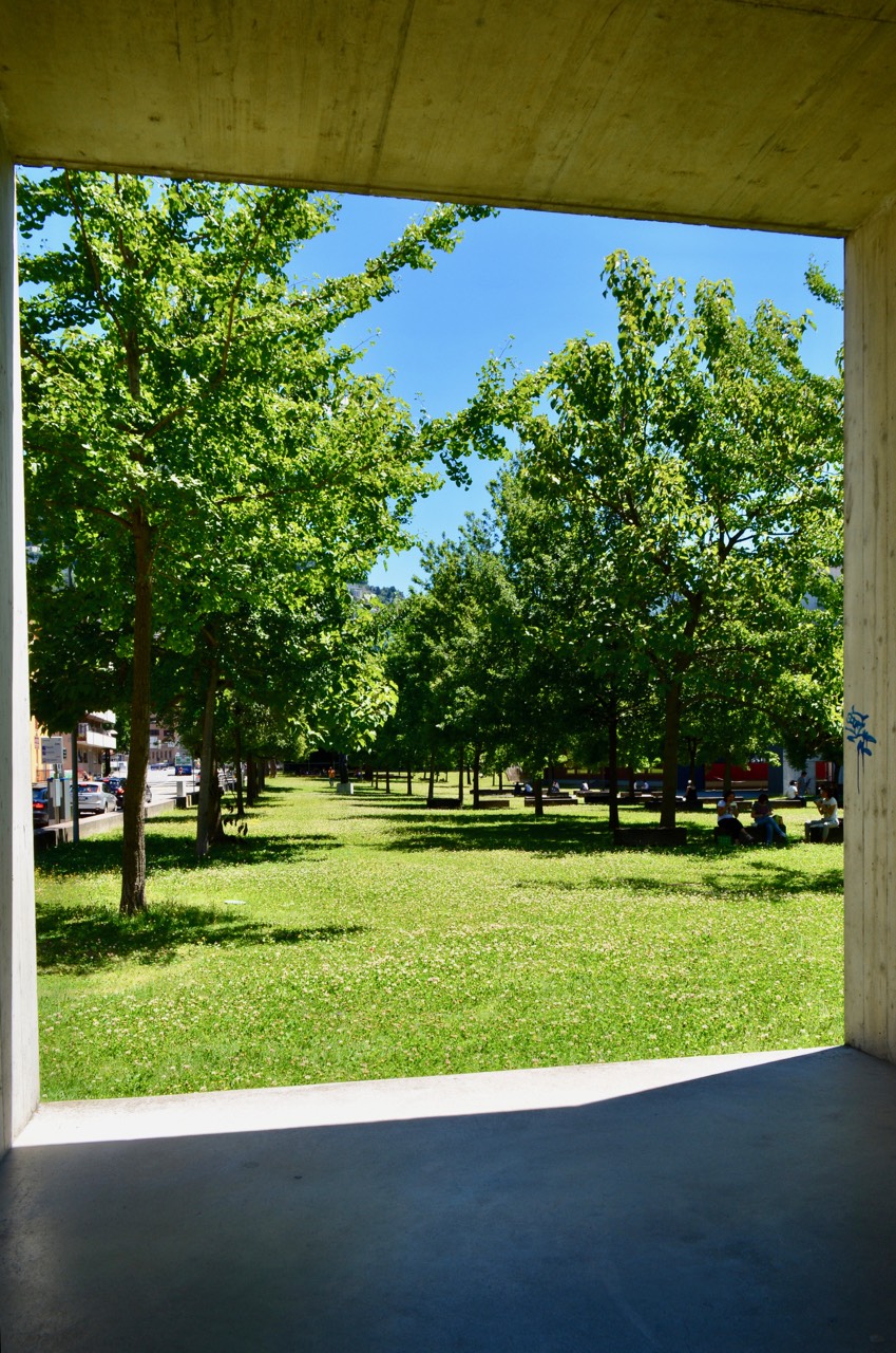 Front lawn from Library   Front lawn from Library