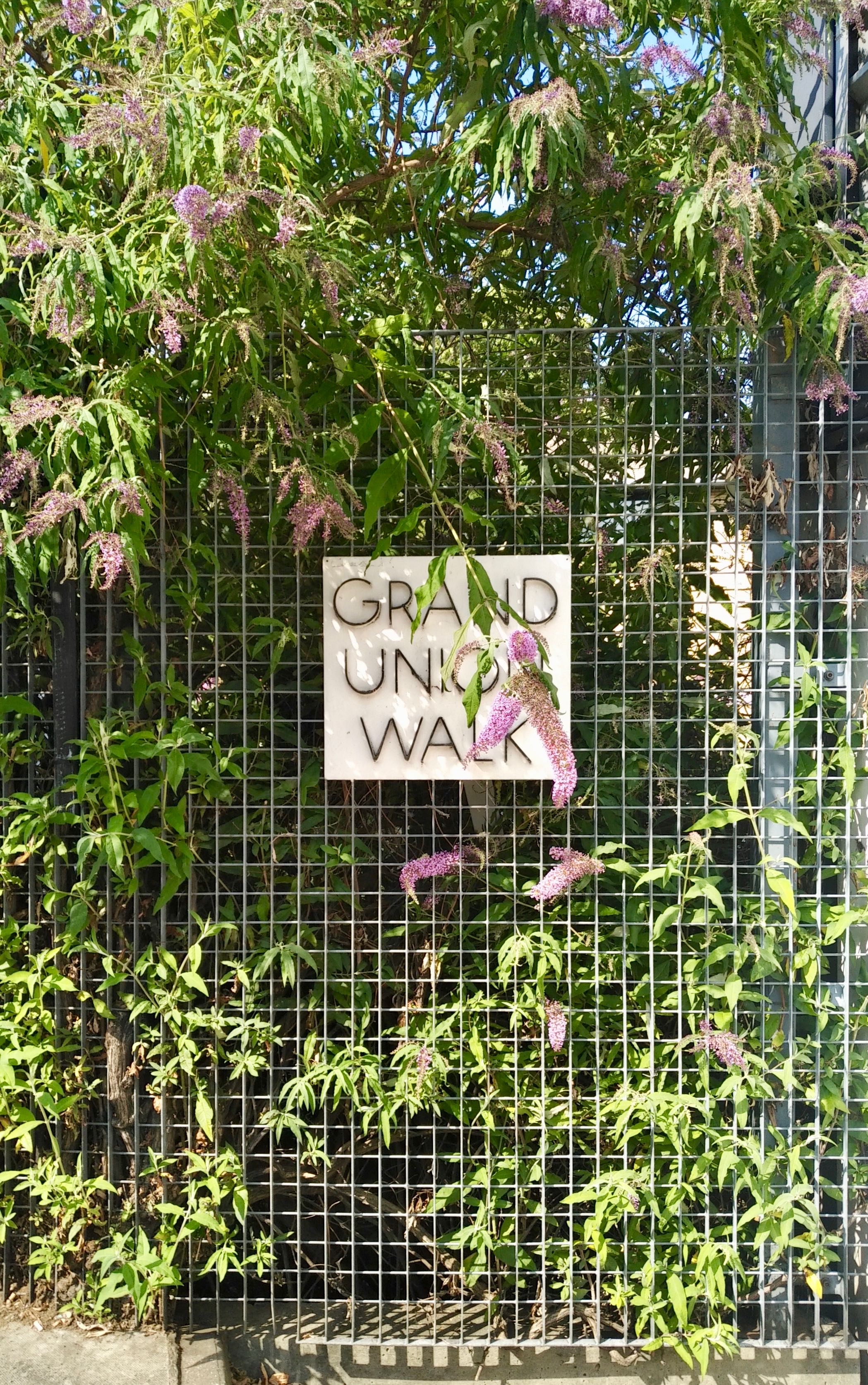  View from Regent's Canal 
